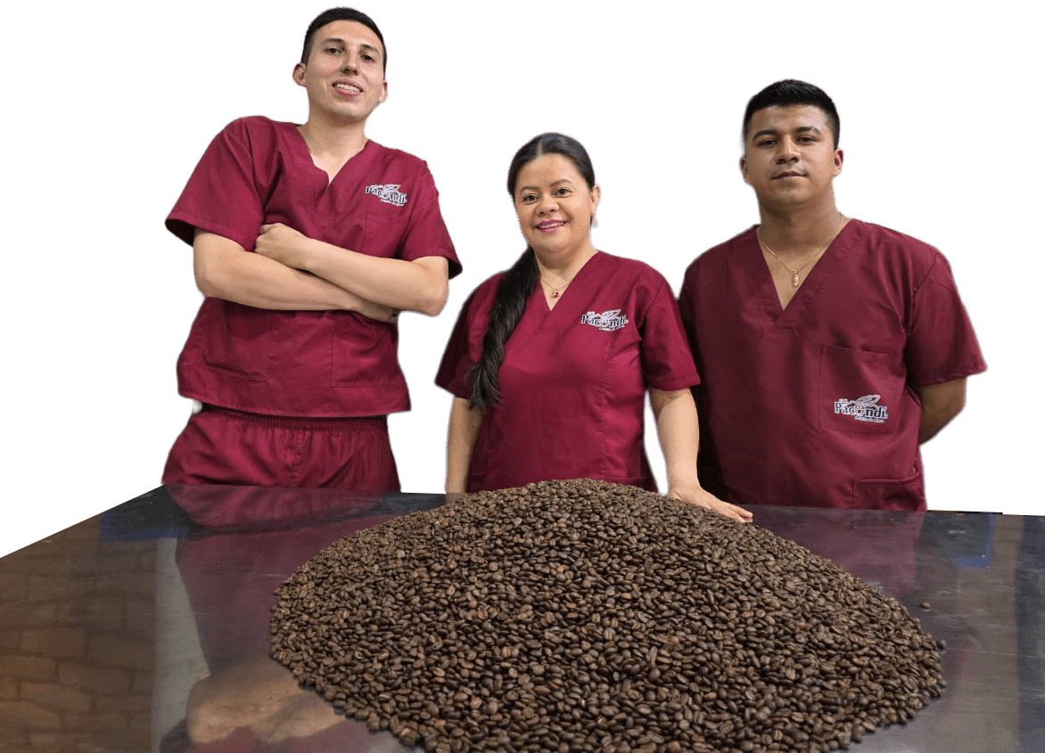 Equipo de Café Pacundí seleccionando grano en Pacho, Cundinamarca